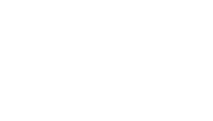 Blanx-logo